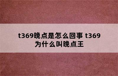 t369晚点是怎么回事 t369为什么叫晚点王